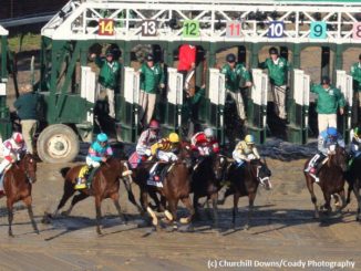 alwaysdreaming5-6cd9-600-326x245