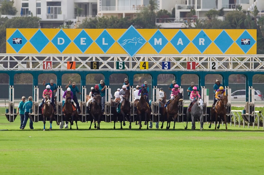 del-mar-race-horses-at-starting-gate-courtesy-sandiego-org_